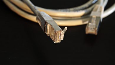 close up photo of ethernet cable